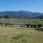 別荘 Olive Tree Garden *