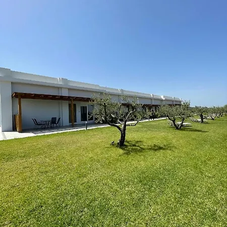 Olive Tree Garden * Linopotis