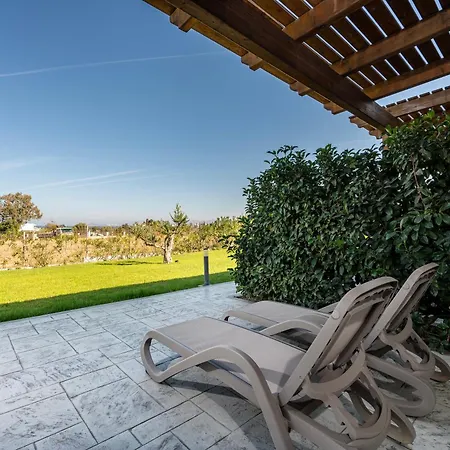 Olive Tree Garden Linopotis