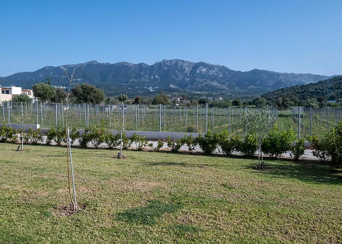 بيت للعطل Olive Tree Garden *