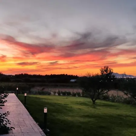 Olive Tree Garden Linopotis