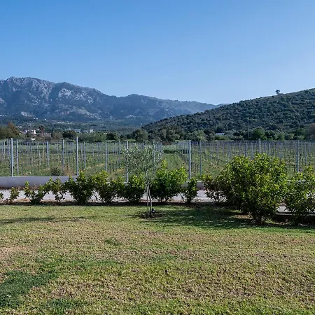 Olive Tree Garden Nyaraló