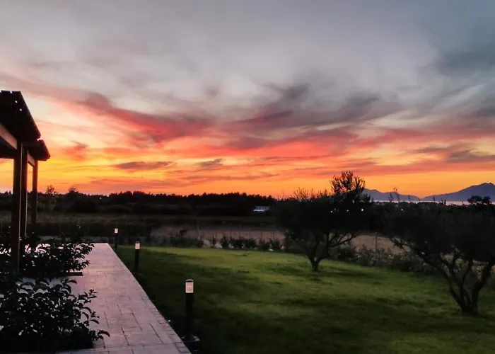 Olive Tree Garden Linopotis