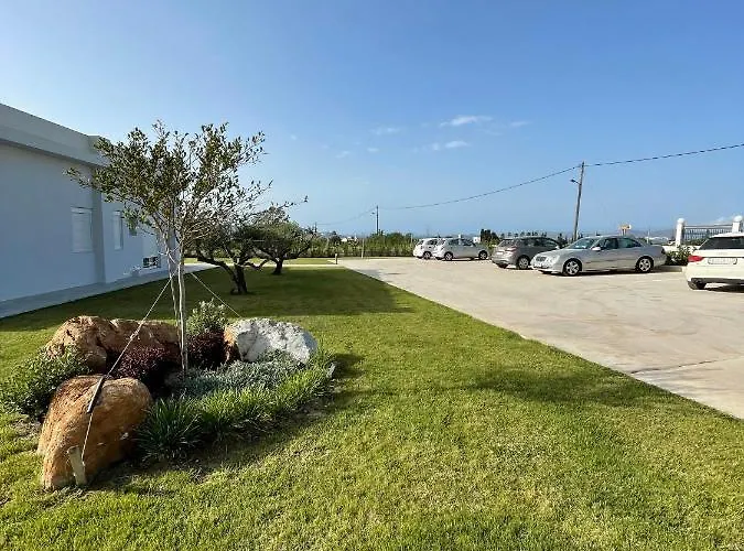 Olive Tree Garden Linopotis