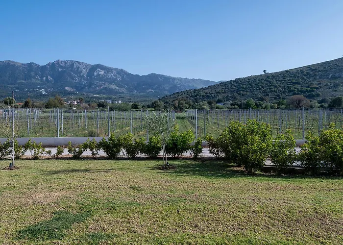 Olive Tree Garden Holiday home