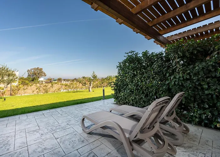 Olive Tree Garden Linopotis